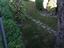 Immagine 28