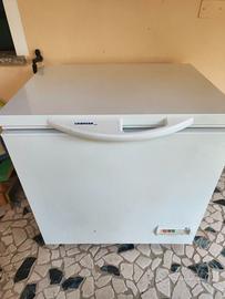 congelatore a pozzetto Liebherr