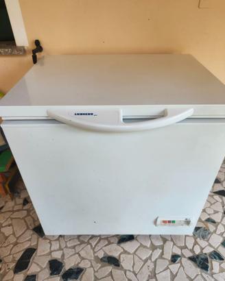 congelatore a pozzetto Liebherr
