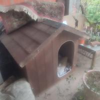 cuccia cani taglia grande..solo da pulire 