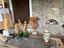 Immagine 28
