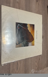 Sting - Soul Cages vinile 33 giri