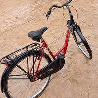 bicicletta da donna 