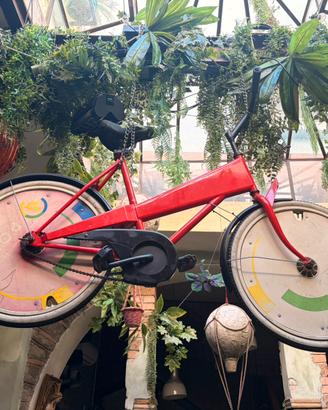 Bicicletta