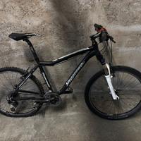 Mountain bike Steppenwolf