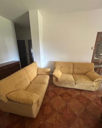 Coppia di divani