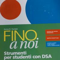 Fino a noi 2 DSA