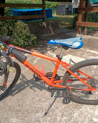 MTB da bambino 24"