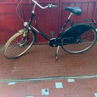 Bici da donna Holland