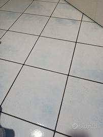  piastrella mono Rex tipo Foligno 31,5x31,5