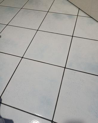  piastrella mono Rex tipo Foligno 31,5x31,5