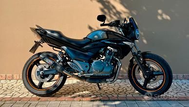 Suzuki GW 250 Inazuma