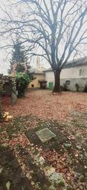 Rustico / Casale di 280 m² con più di 5 locali e b