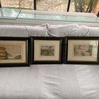 Set 3 Quadri Anatre Cornici Verdi