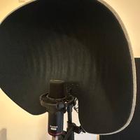 asta a giraffa con cupola con schermo isolante