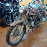 Benelli Leoncino - Anni 50