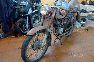 Benelli Leoncino - Anni 50