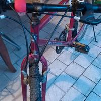 bici uomo rossa