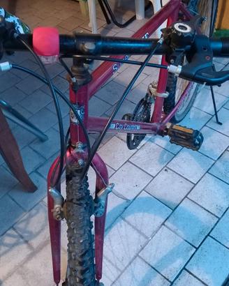 bici uomo rossa