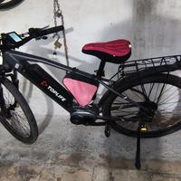 bici elettrica 