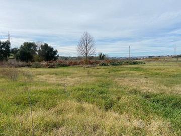 Terreno di 8000 m² a Capena
