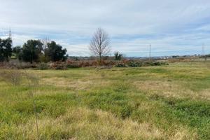 Terreno di 8000 m² a Capena
