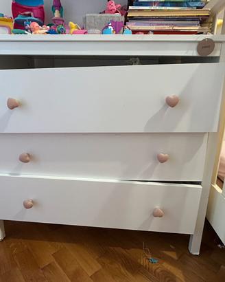 Cassettira bisnca