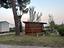 Immagine 6