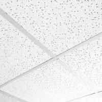 pannelli controsoffitto 60x60