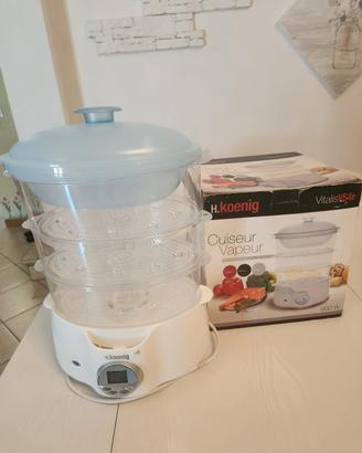 vaporiera elettrica 