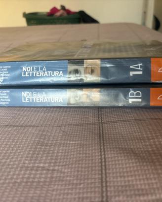 Libri Noi e la letteratura