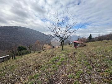 TER. AGRICOLO A POLAVENO