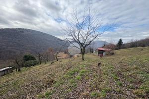 TER. AGRICOLO A POLAVENO