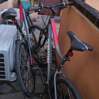biciclette in coppia