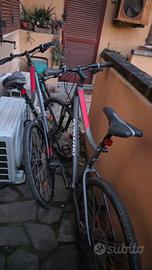 biciclette in coppia