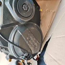 Motore Honda  Hornet 600 - 2008 - 62.000 km