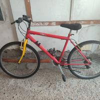 Bicicletta cerchio 26