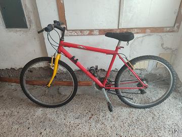 Bicicletta cerchio 26