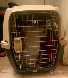 Trasportino - kennel