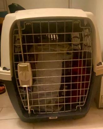 Trasportino - kennel
