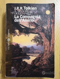 La Compagnia dell'Anello 