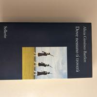 Dove nessuno ti troverà di Alicia Bartlett (2011)