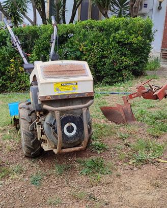 Motocoltivatore Bertolini accensione elettrica 10c