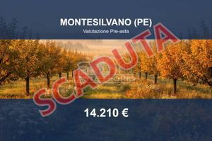 Immobile in asta di 1600 m² a Montesilvano