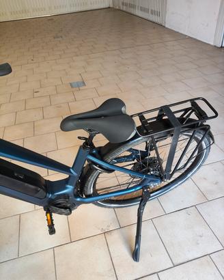 bicicletta elettrica 