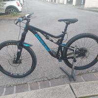 Santa cruz