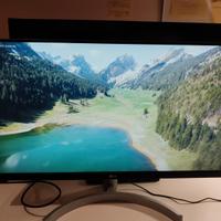 Monitor LG 24" IPS Full HD 75Hz Anti Affaticamento