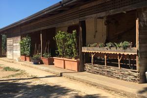 Masseria a cassano murge