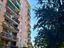Immagine 13