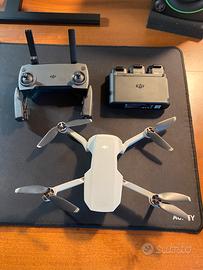 Dji mavic mini